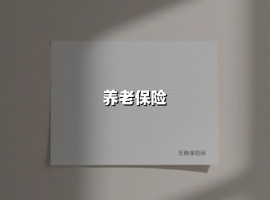 养老保险(2025最新权威解答)