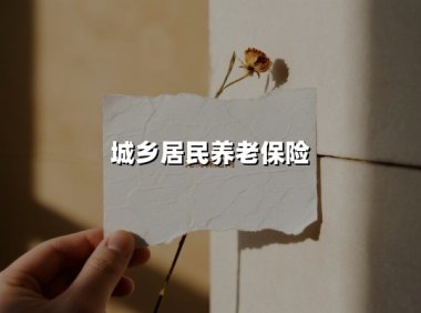 城乡居民养老保险(2025最新权威解答)