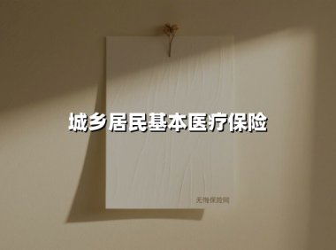 城乡居民基本医疗保险(2025最新权威解答)