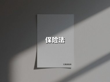 保险法（2025最新权威解答）