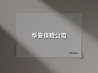 华安保险公司(2025最新权威解答)