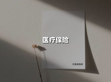 医疗保险(2025最新权威解答)
