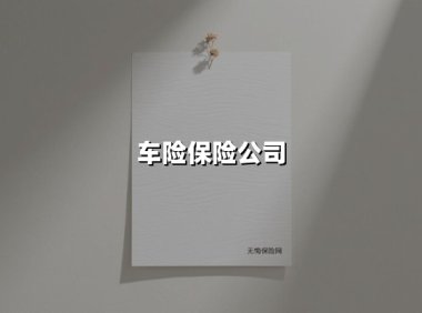 车险保险公司(2025最新权威解答)