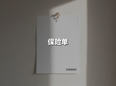 保险单(2025最新权威解答)