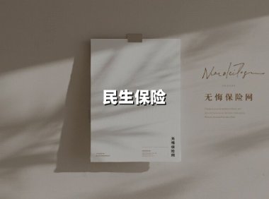 民生保险(2025最新权威解答)
