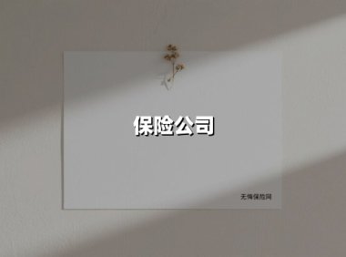 保险公司(2025最新权威解答)