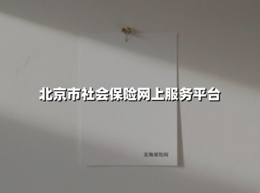 北京市社会保险网上服务平台(2025最新权威解答)