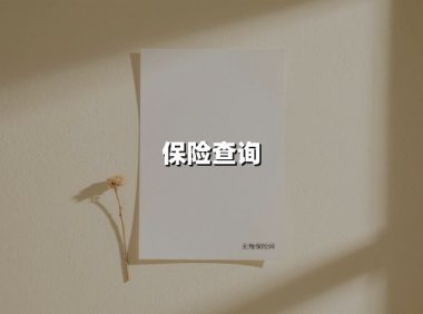 保险查询(2025最新权威解答)