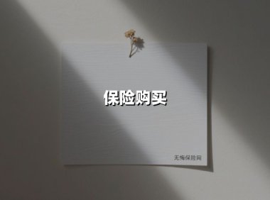 保险购买(2025最新权威解答)