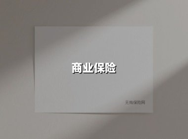 商业保险(2025最新权威解答)