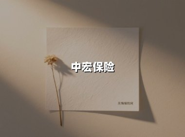 中宏保险(2025最新权威解答)