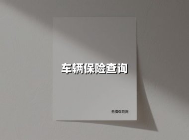 车辆保险查询(2025最新权威解答)