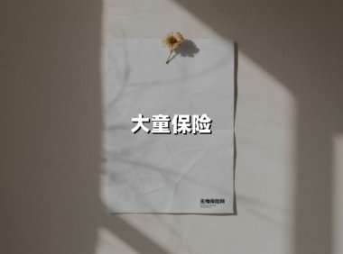 大童保险(2025最新权威解答)