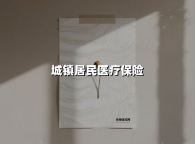 城镇居民医疗保险(2025最新权威解答)
