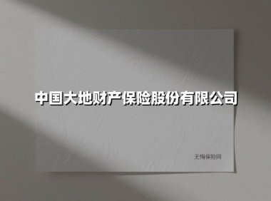 中国大地财产保险股份有限公司(2025最新权威解答)