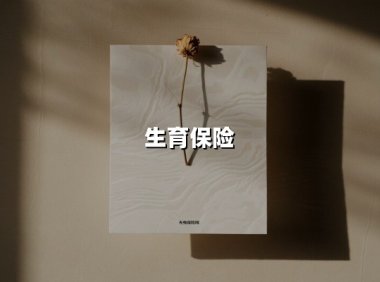 生育保险(2025最新权威解答)