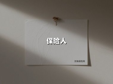 保险人(2025最新权威解答)