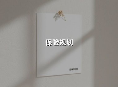 保险规划(2025最新权威解答)