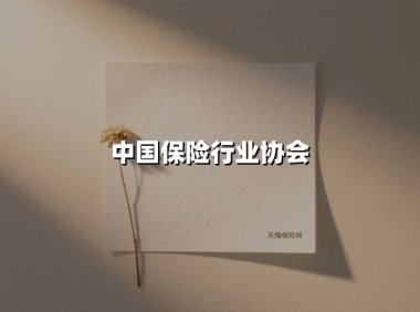 中国保险行业协会(2025最新权威解答)