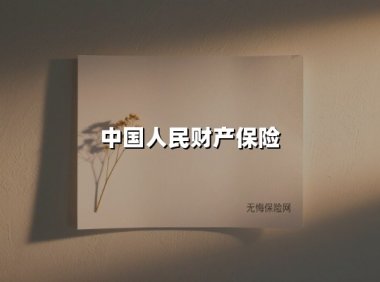 中国人民财产保险(2025最新权威解答)