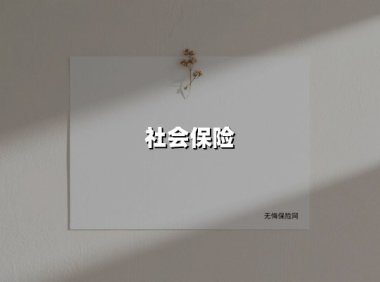 社会保险(2025最新权威解答)