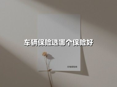 车辆保险选哪个保险好(2025最新权威解答)