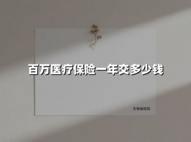百万医疗保险一年交多少钱(2025最新权威解答)