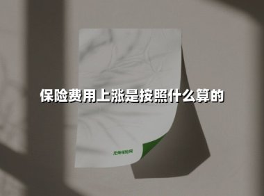 保险费用上涨是按照什么算的(2025最新权威解答)