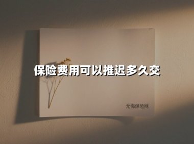 保险费用可以推迟多久交(2025最新权威解答)