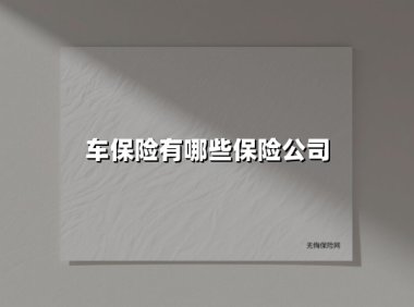 车保险有哪些保险公司(2025最新权威解答)