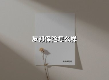 友邦保险怎么样(2025最新权威解答)