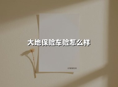 大地保险车险怎么样(2025最新权威解答)