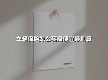 车辆保险怎么买最便宜最划算(2025最新权威解答)