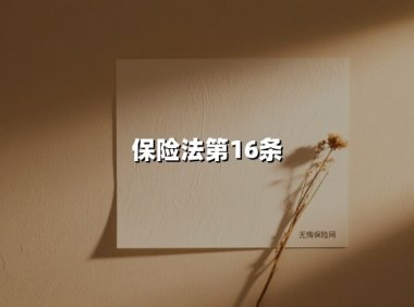 保险法第16条(2025最新权威解答)