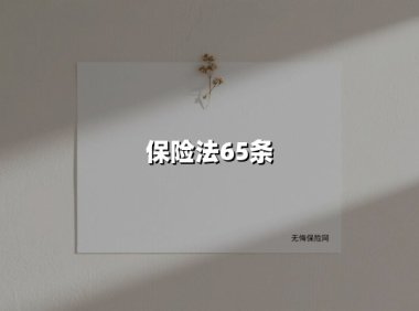 保险法65条(2025最新权威解答)