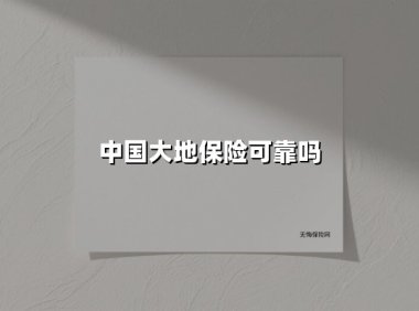 中国大地保险可靠吗(2025最新权威解答)