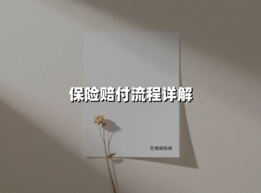 保险赔付流程详解(2025最新权威解答)