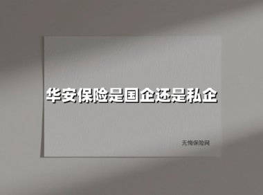 华安保险是国企还是私企(2025最新权威解答)