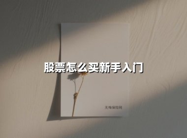 股票怎么买新手入门(2025最新权威解答)