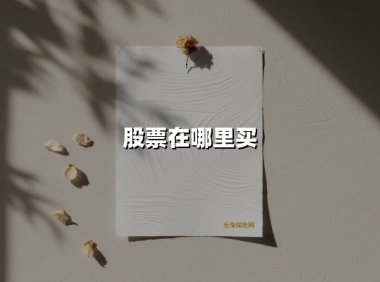股票在哪里买(2025最新权威解答)