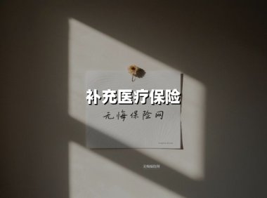 补充医疗保险(2025最新权威解答)