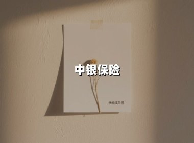 中银保险(2025最新权威解答)