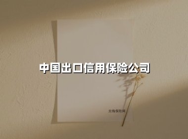中国出口信用保险公司(2025最新权威解答)