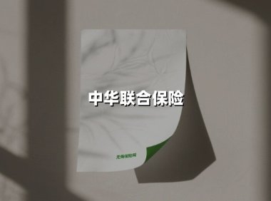 中华联合保险(2025最新权威解答)