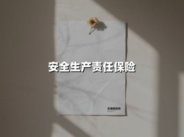 安全生产责任保险(2025最新权威解答)