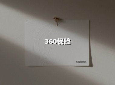 360保险(2025最新权威解答)
