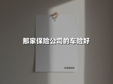 哪家保险公司的车险好(2025最新权威解答)