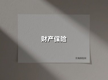 财产保险(2025最新权威解答)