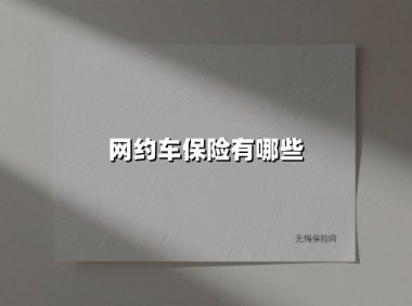 网约车保险有哪些(2025最新权威解答)