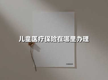 儿童医疗保险在哪里办理(2025最新权威解答)